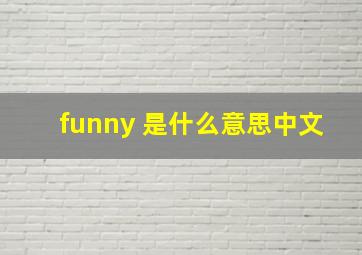 funny 是什么意思中文